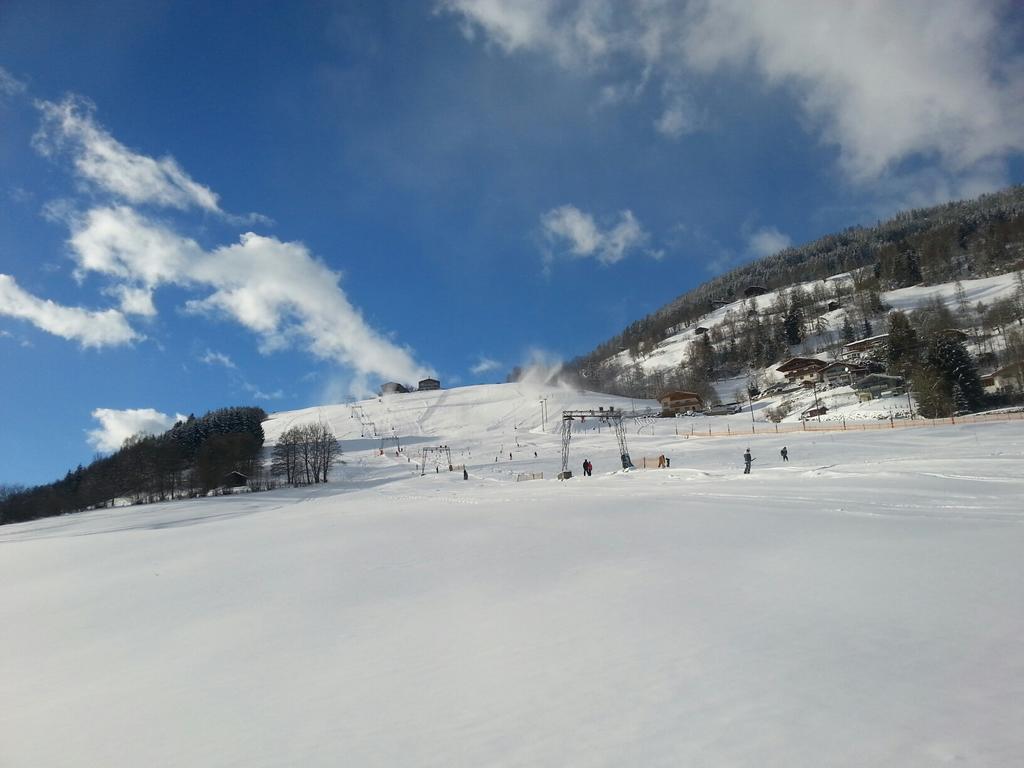 Apartment Lochner Piesendorf-Walchen ภายนอก รูปภาพ