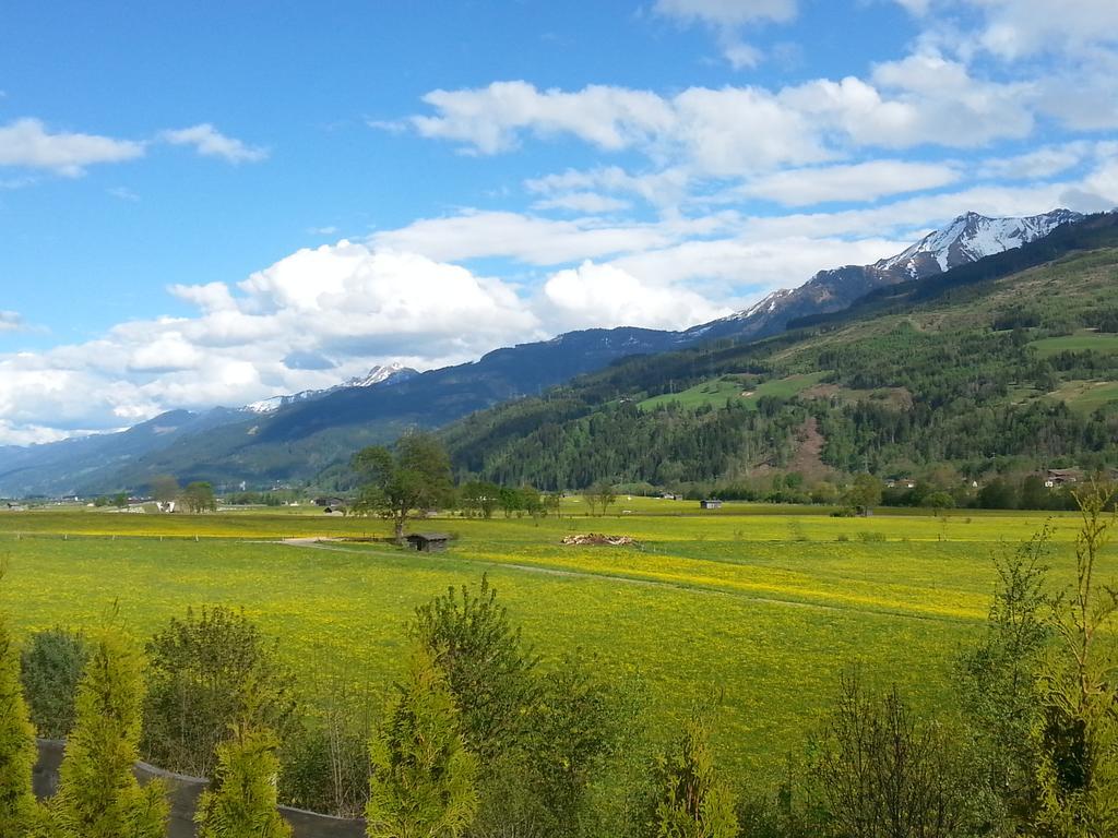 Apartment Lochner Piesendorf-Walchen ภายนอก รูปภาพ